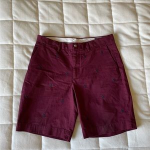 Polo embroidered shorts size 33